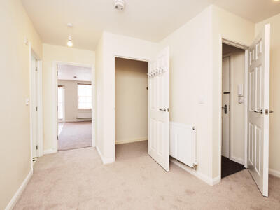 Picture 5